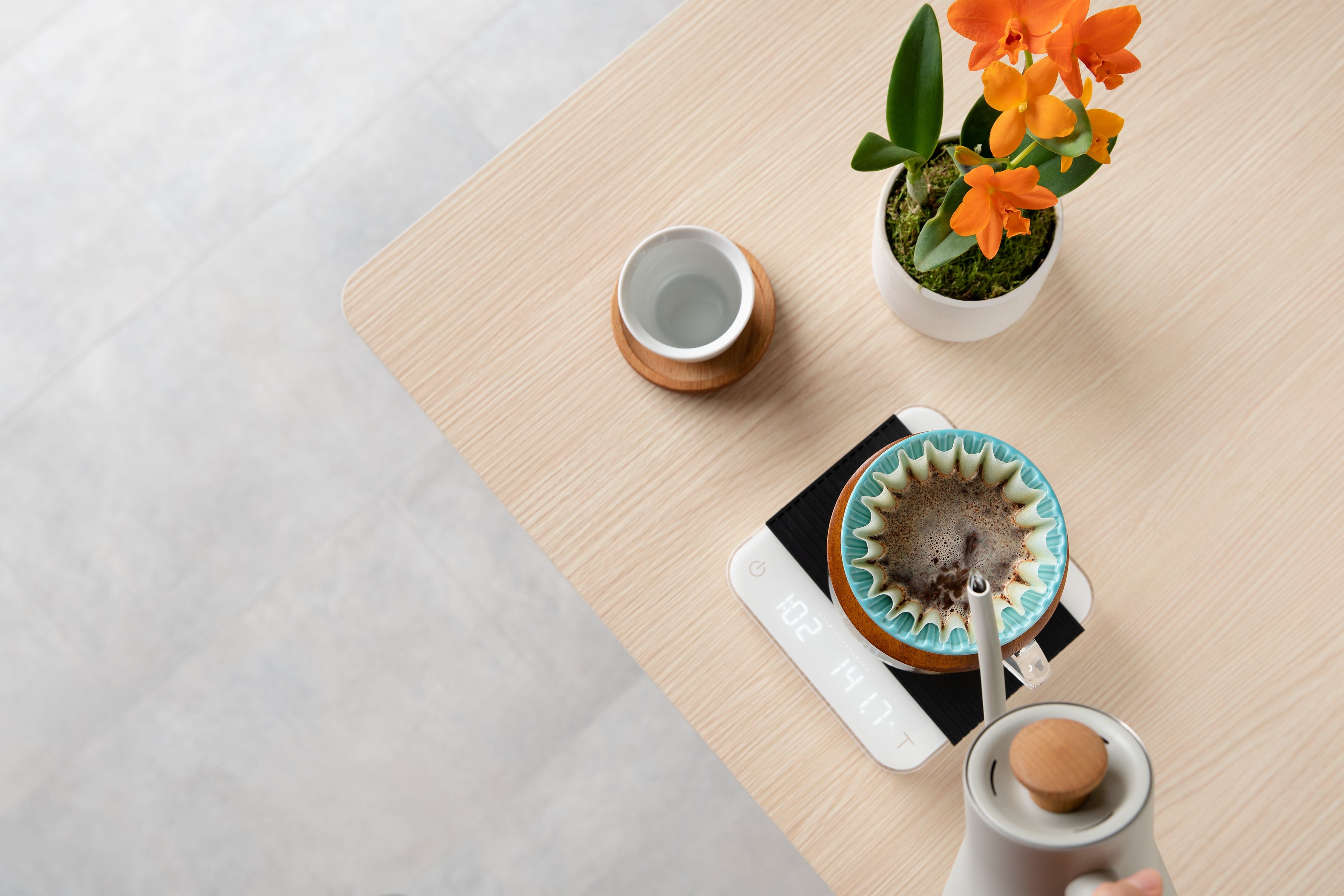 ACAIA Pearl (2021)