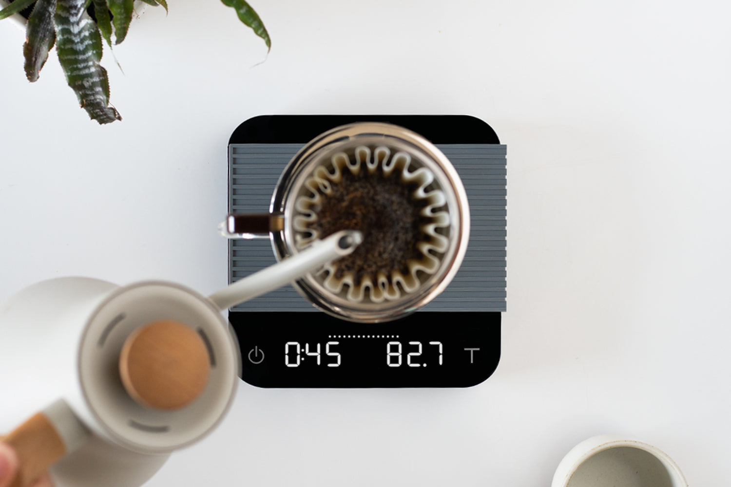 ACAIA Pearl (2021)